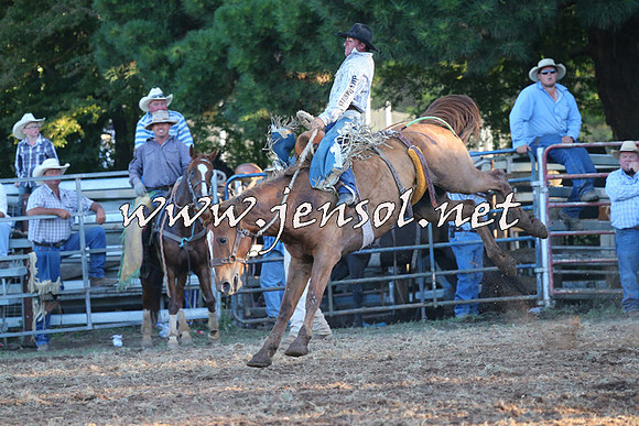 Taralga2015_6884