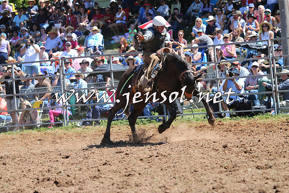 Taralga2015_4535