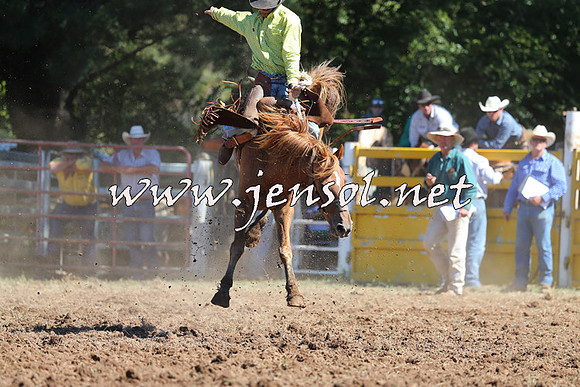 Taralga2015_4975
