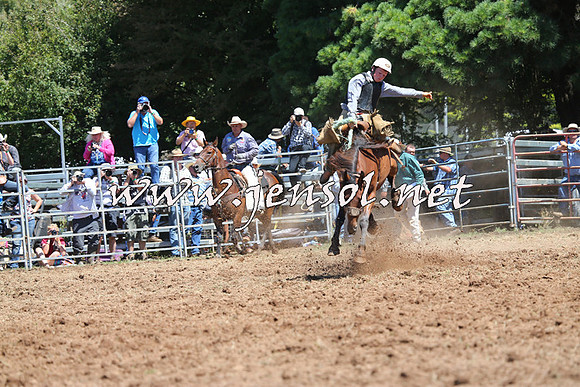 Taralga2015_4310