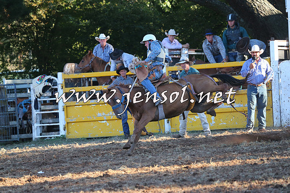 Taralga2015_6668