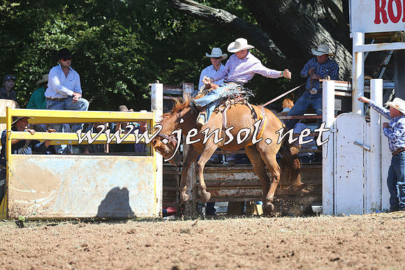 Taralga2015_4860