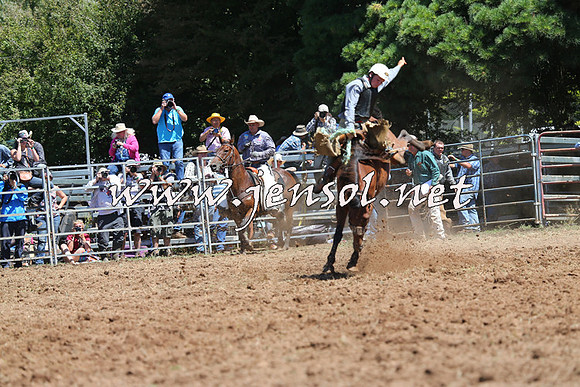 Taralga2015_4308