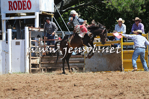 Taralga2015_4346