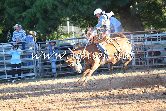 Taralga2015_6675