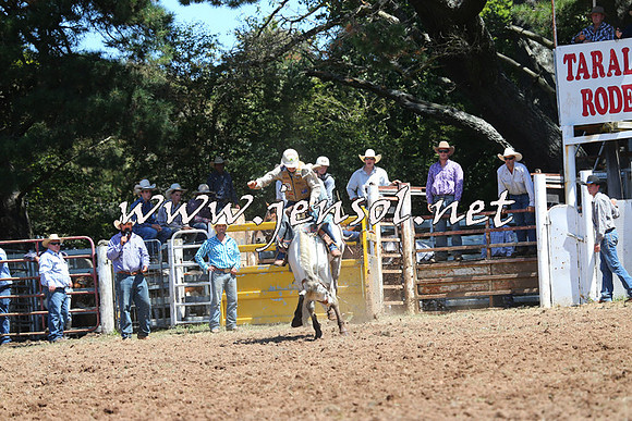 Taralga2015_4283