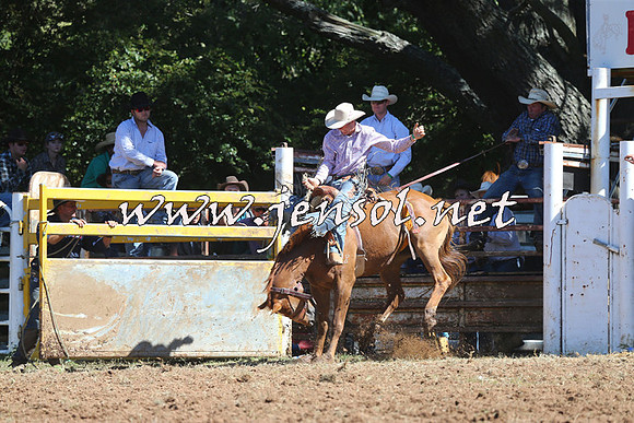 Taralga2015_4861