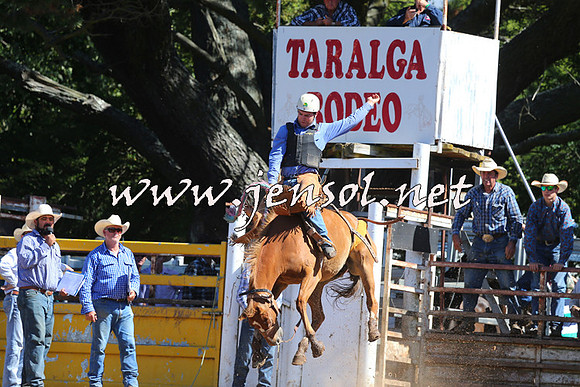 Taralga2015_4924