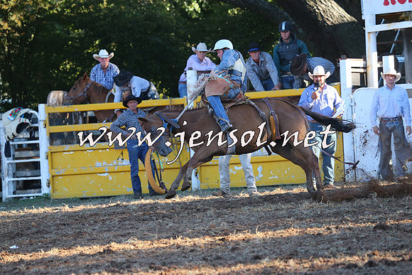 Taralga2015_6669