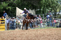 Taralga2015_3436
