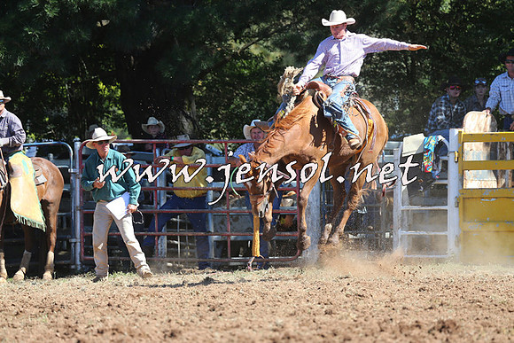 Taralga2015_4868