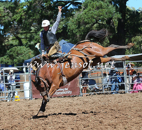 Taralga2015_4318