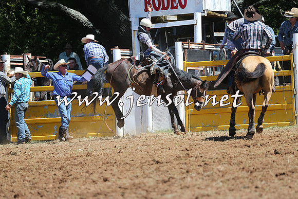 Taralga2015_4331