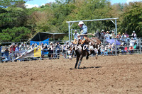 Taralga2015_3483