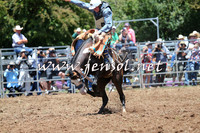 Taralga2015_3477