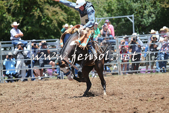 Taralga2015_3477