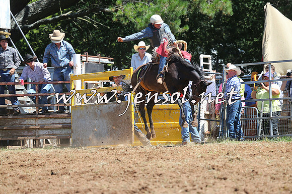Taralga2015_4345