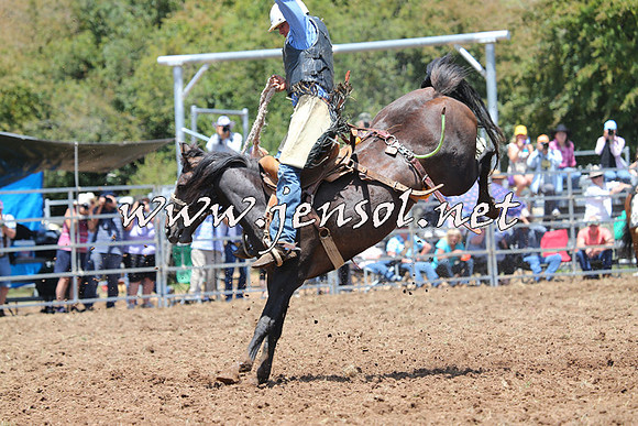 Taralga2015_3547
