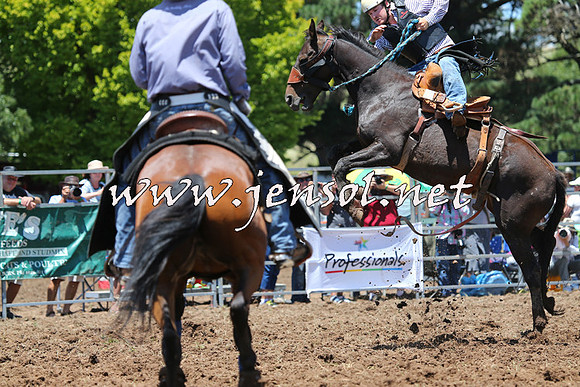 Taralga2015_3639