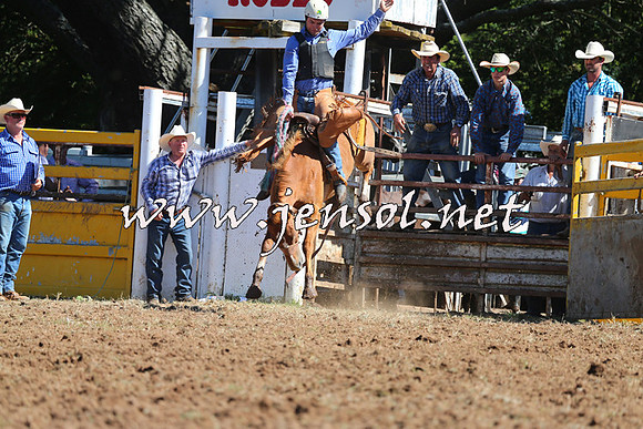 Taralga2015_4908