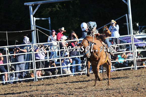 Taralga2015_6712