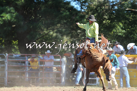 Taralga2015_4968