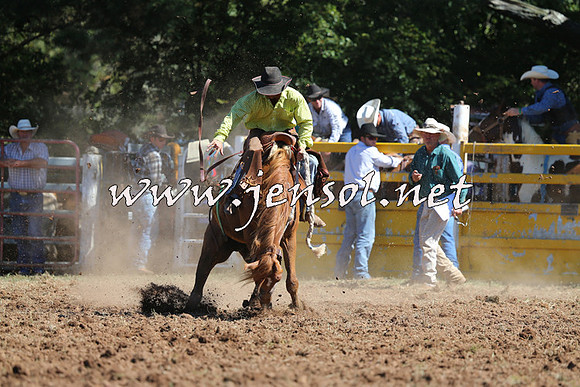 Taralga2015_4963
