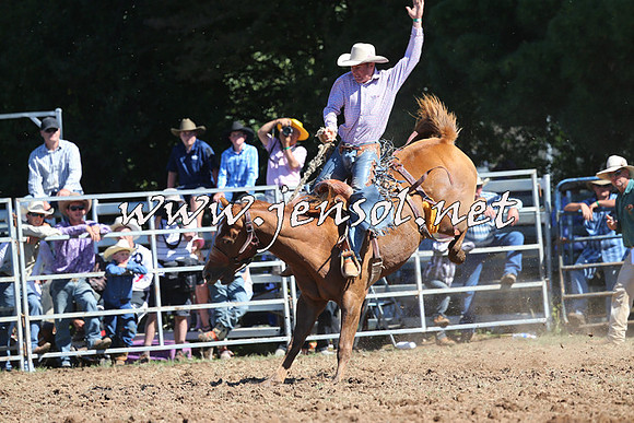 Taralga2015_4880