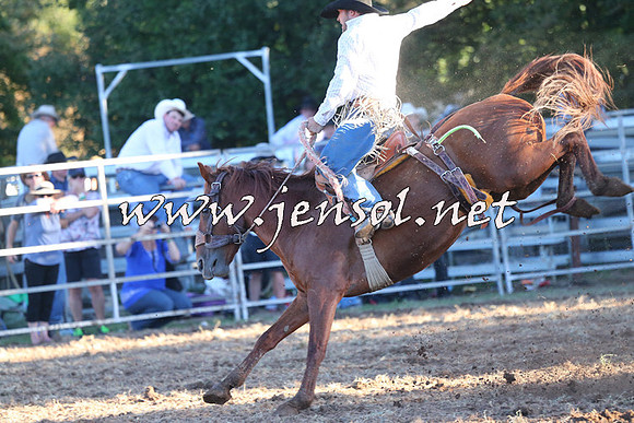 Taralga2015_6851