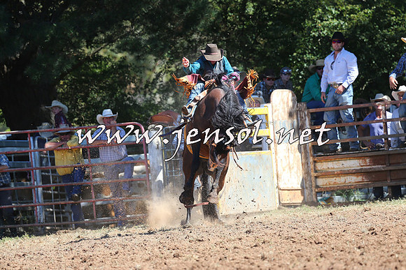 Taralga2015_4828
