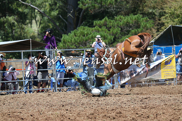 Taralga2015_3569