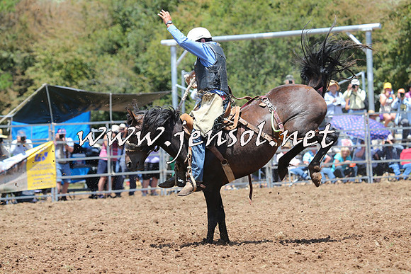 Taralga2015_3548