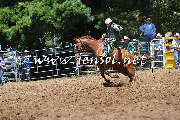 Taralga2015_3563