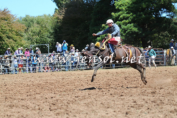 Taralga2015_4374