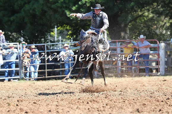 Taralga2015_5117