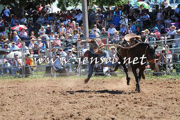 Taralga2015_4528