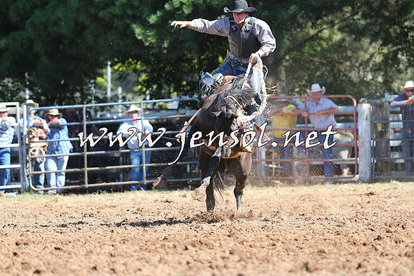 Taralga2015_5116