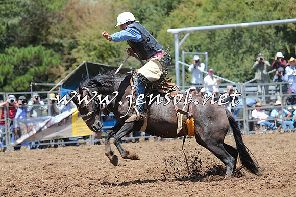 Taralga2015_3545