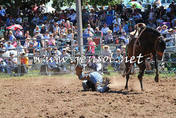 Taralga2015_4536