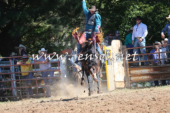 Taralga2015_4831