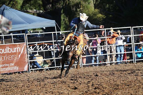 Taralga2015_6841