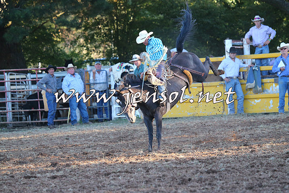 Taralga2015_6874