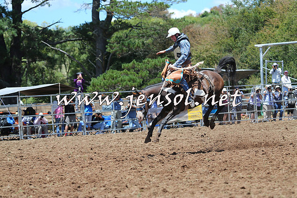 Taralga2015_3470