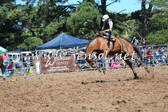 Taralga2015_4321