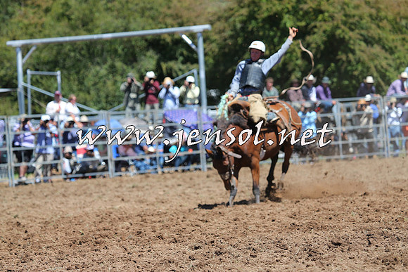 Taralga2015_4303