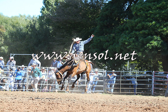 Taralga2015_5046
