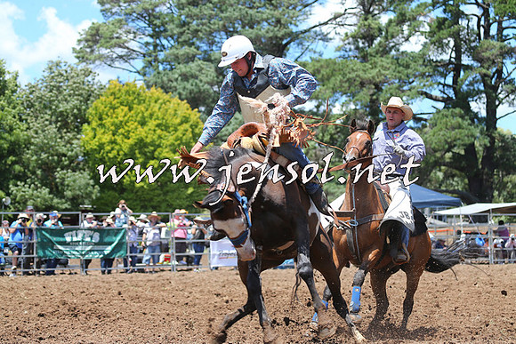 Taralga2015_3498
