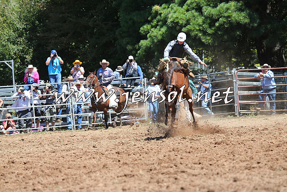 Taralga2015_4301