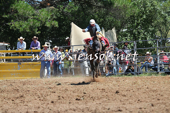 Taralga2015_4355