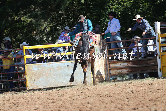 Taralga2015_4826